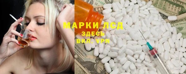 трава Аркадак