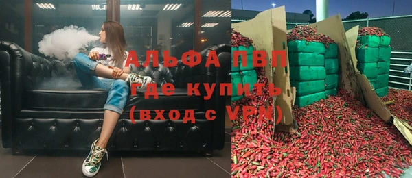 трава Аркадак
