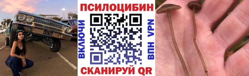 где можно купить наркотик  ссылка на мегу ссылка  Псилоцибиновые грибы Psilocybe  Волжский 
